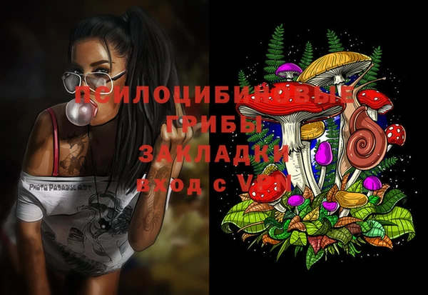 МДПВ Вязьма