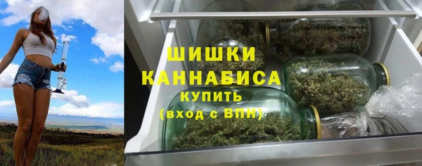дурь Вяземский