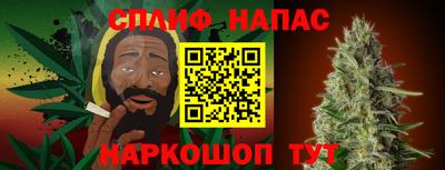 гидра Берёзовский