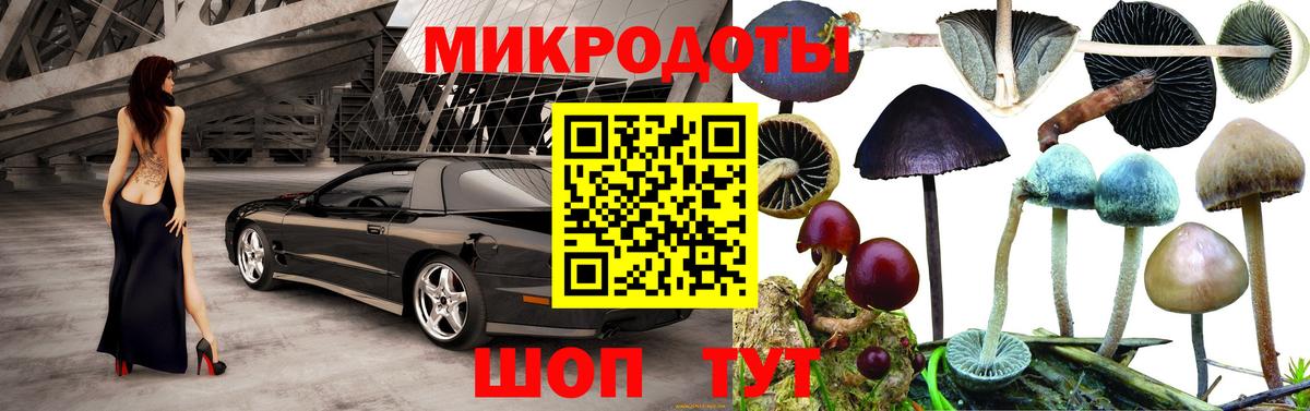 Псилоцибиновые грибы прущие грибы Дмитров