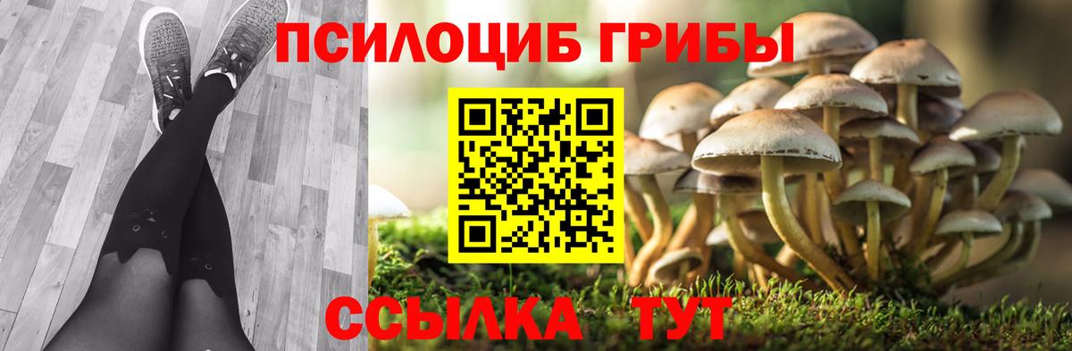 наркотики  Галлюциногенные грибы мухоморы  Вход с VPN  Дмитров 
